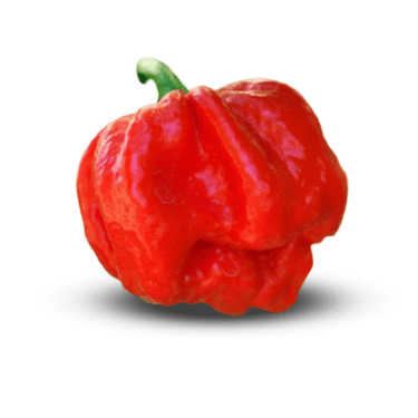 7 Pot Jonah Pepper Seeds - The Pepper Pantry (Formerly Marie Sharp's)
